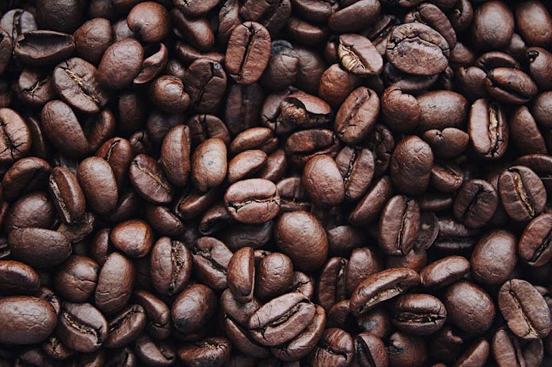 gayo