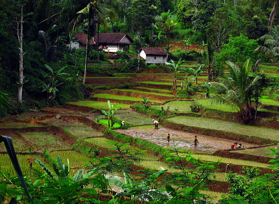 Ekowisata Indonesia: Liburan Berkelanjutan di Alam Indah post thumbnail image