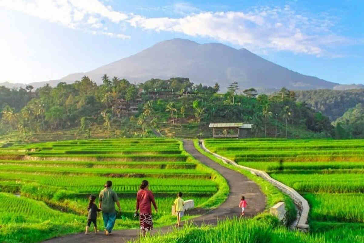 5 Strategi Mencapai Keberlanjutan Alam dengan Energi Terbarukan post thumbnail image