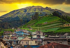 nepal van java