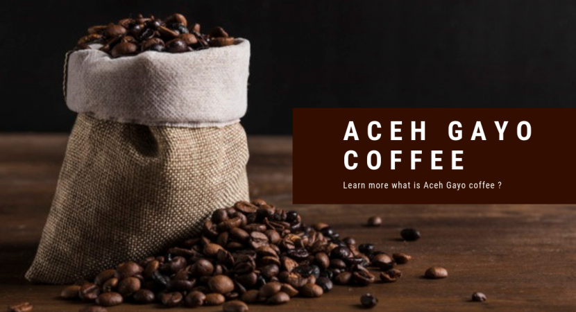 Gayo – Arabika Premium dari Aceh