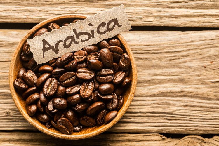 Arabika – Varietas Halus dan Aromatik